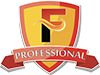 Professional